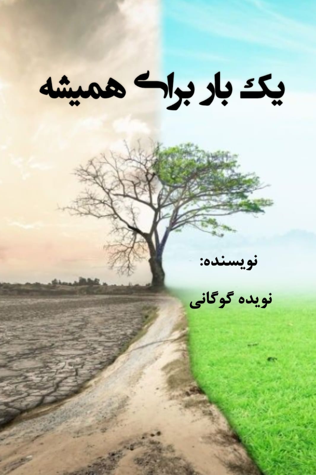 یک بار برای همیشه