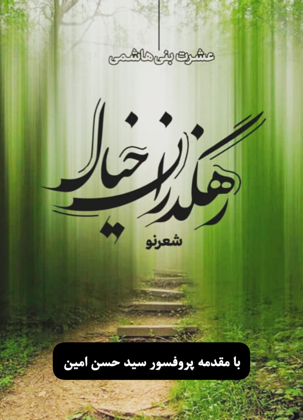 رهگذران خیال 